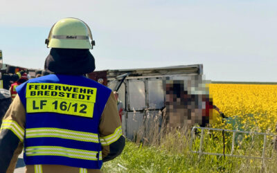 (46) TH G Y – Nutzfahrzeug verunfallt, Person eingeklemmt