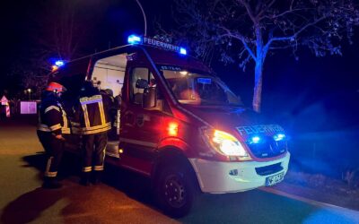 (33) THGAS – Gasgeruch