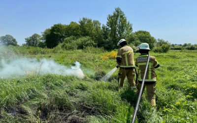 (52) FEU – brennt Freifläche