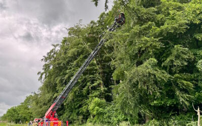 (56) TH K – Sturmschaden, Anforderung Drehleiter